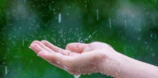 A Hunter öntözőrendszer érzékelői öntözőrendszer