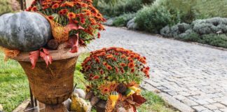 Itt az ideje az öntözőrendszer téliesítésének őszi kert